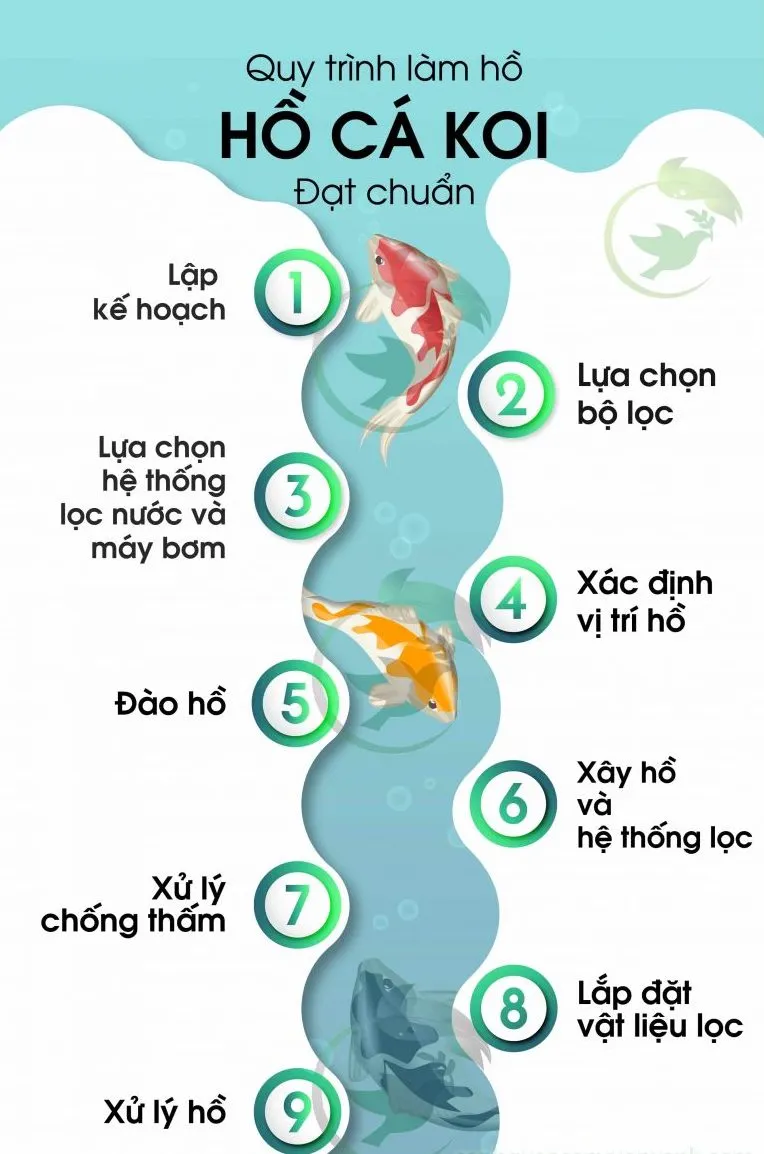 Làm thế nào để thiết kế thi công hồ cá koi đạt chuẩn?