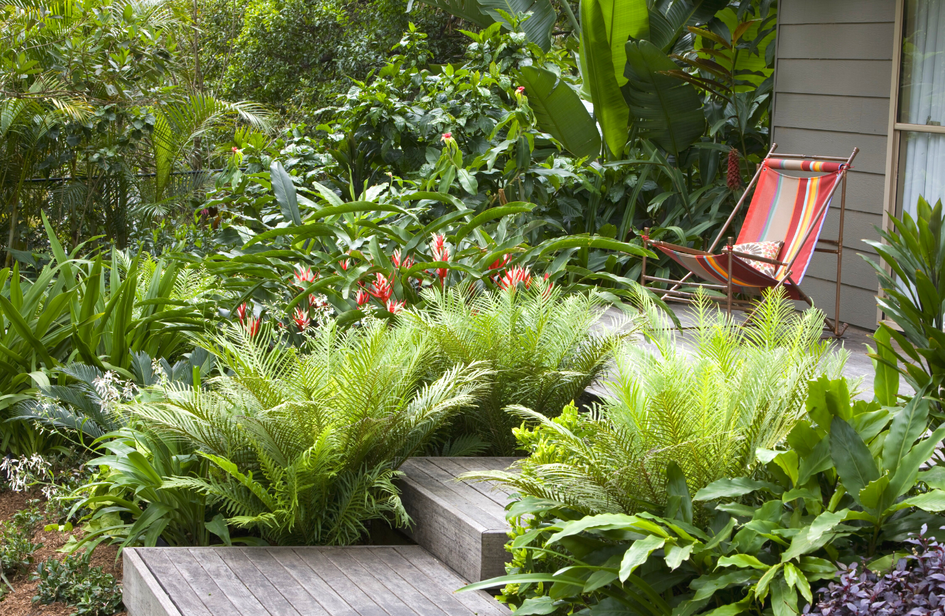 vườn tropical